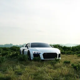 Supercar in the Wild