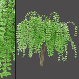 Realistic Green Tree