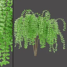 Realistic Green Tree