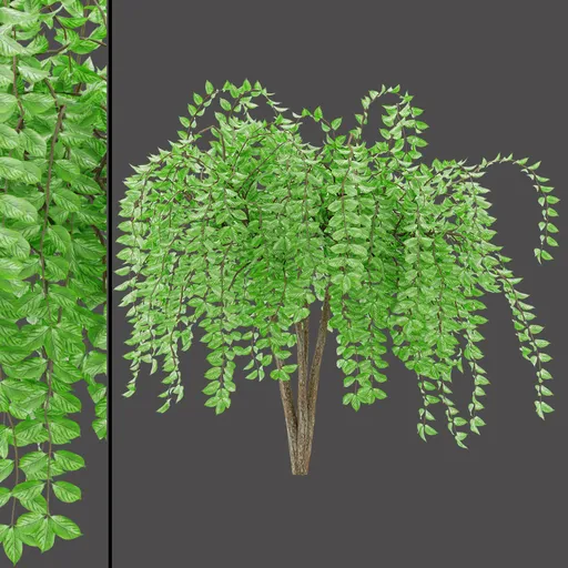 Realistic Green Tree