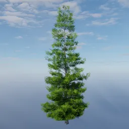 Detailed 3D evergreen tree model suitable for Blender rendering and game asset design.