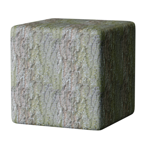 Thumbnail: Tree Bark 01
