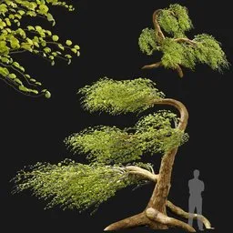 Stylized Windswept Tree