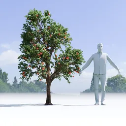Apple Tree