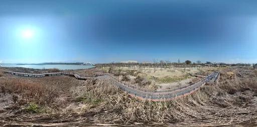 Riverside dry grass