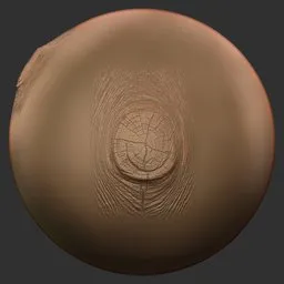 ER_Wood Brush-Wood Knot