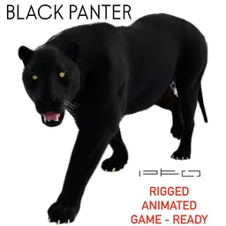 Black Tiger