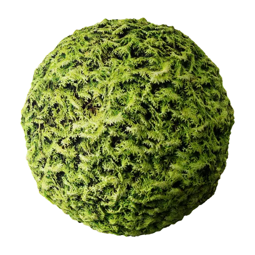 Hedge Conifer 2K PBR texture for organic 3D materials with displacement, suitable for Blender and other 3D apps.