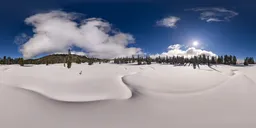 Snow Winter Sunny Day Landscape