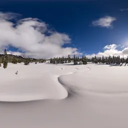 Snow Winter Sunny Day Landscape