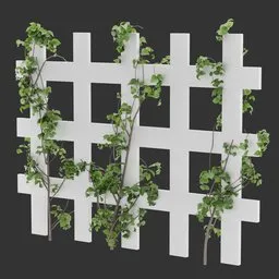 Divider Fence Climber Plant