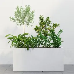 Mixed Garden Planter