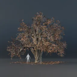 Oak Tee - Matured (Autumn)