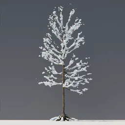 Realistic snow-covered tree model with detailed roots for Blender 3D rendering and animation.