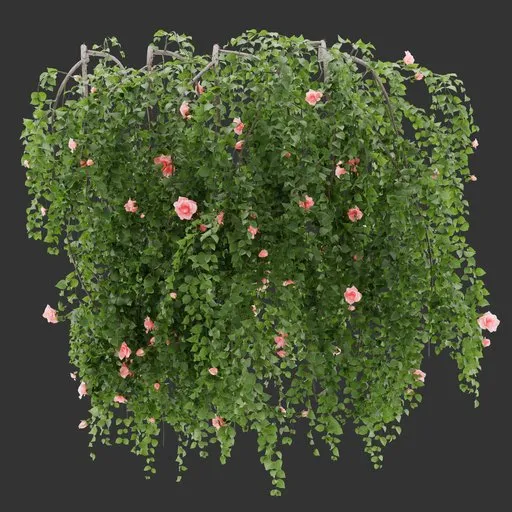 Wall Hanging Plant