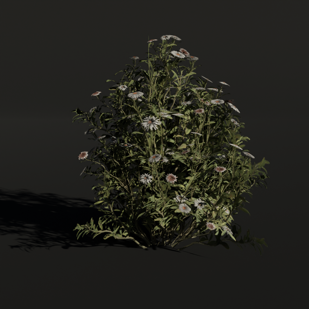 Flowers Aster c2 | Trees models | BlenderKit