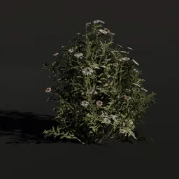 Detailed 3D model of a small, bushy Aster flower cluster suitable for Blender rendering.