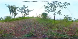 Brick Path in Rural Forest HDRI