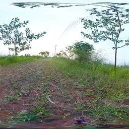Brick Path in Rural Forest HDRI