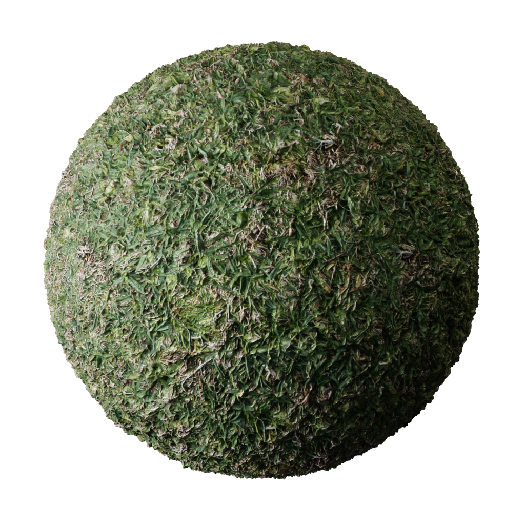 Rough Grass FREE 3D grass materials BlenderKit