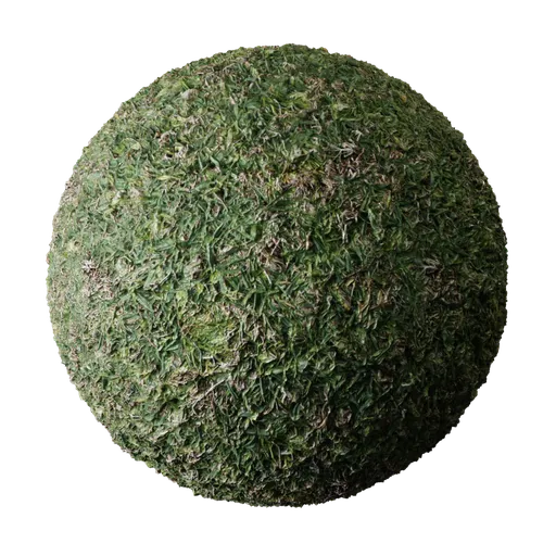 High-resolution PBR Rough Grass material for Blender 3D rendering and texturing.