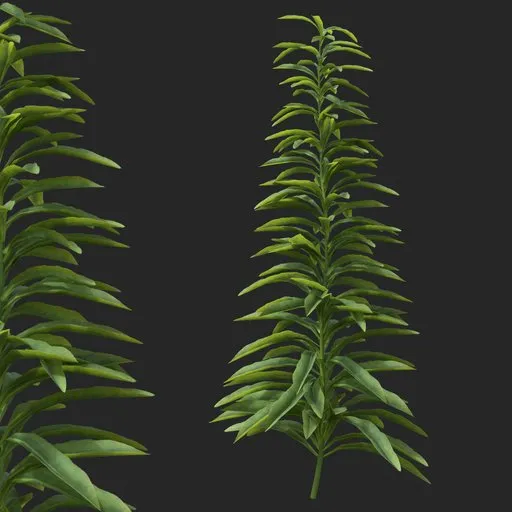 Simple Bush