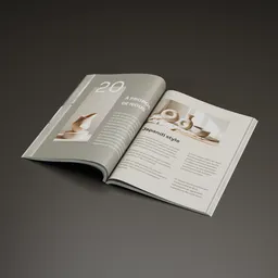 Magazine