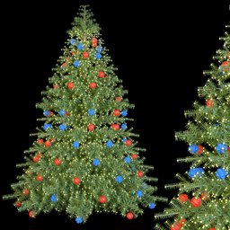 Christmas pine tree