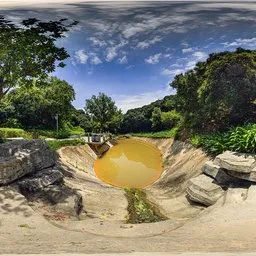 Pond during the day