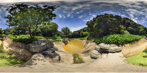 Pond during the day