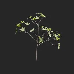 Mangrove Plant + Geometry Nodes + Animation