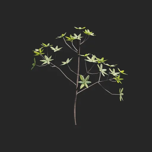Mangrove Plant + Geometry Nodes + Animation