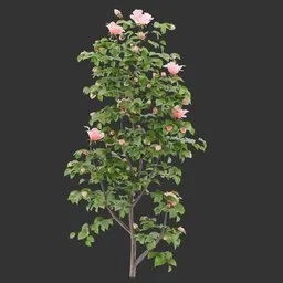 Flowering Bush Plant