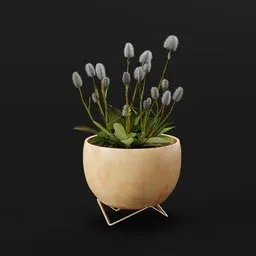 Plant Alpine Bistort Lrg Pot