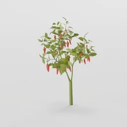 Small Pepper Plant