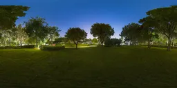 Night Lawn