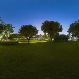 Night Lawn