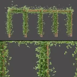 Ivy Trellis Row