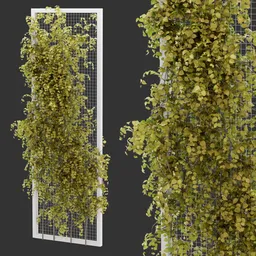 Fence Ivy Autumn Plant AQ