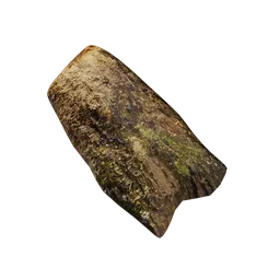 Tree bark debris