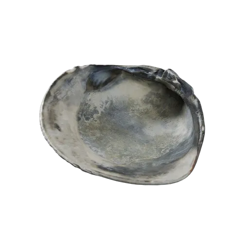 River Shell
