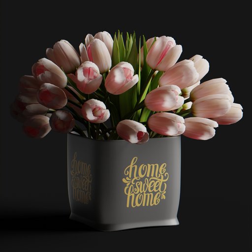 Tulip flower pink