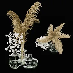 Decorative Set with Pampas and Lunaria