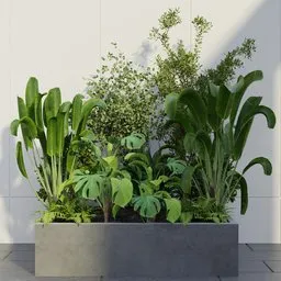 Tropical Planter Collection