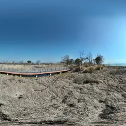 The lakeside covered with withered grass