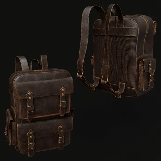 Leather Backpack