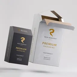 Rigged Carry Handle Folding Carton Box