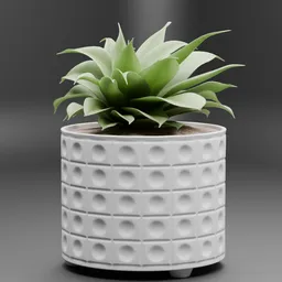 Succulent Plant Pot