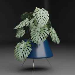 Monstera Plant Pot