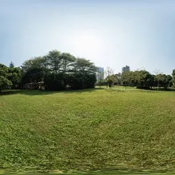 Green grass-30k